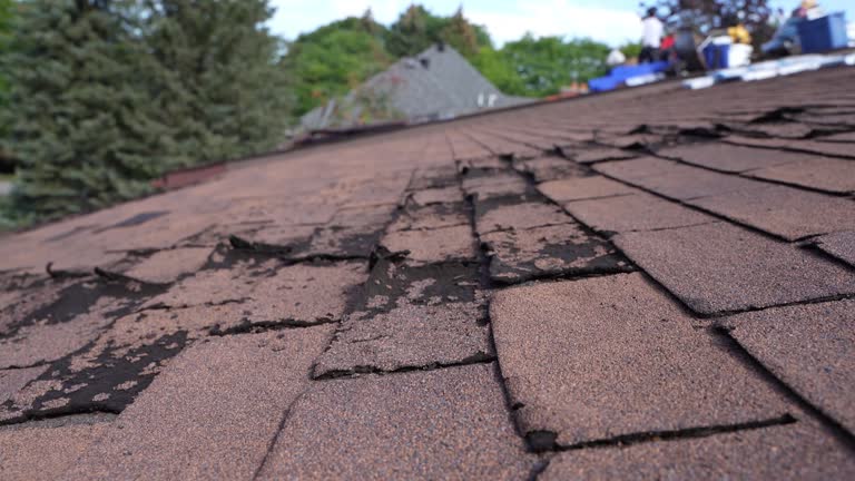 Emergency Roof Repair in Doylestown, OH